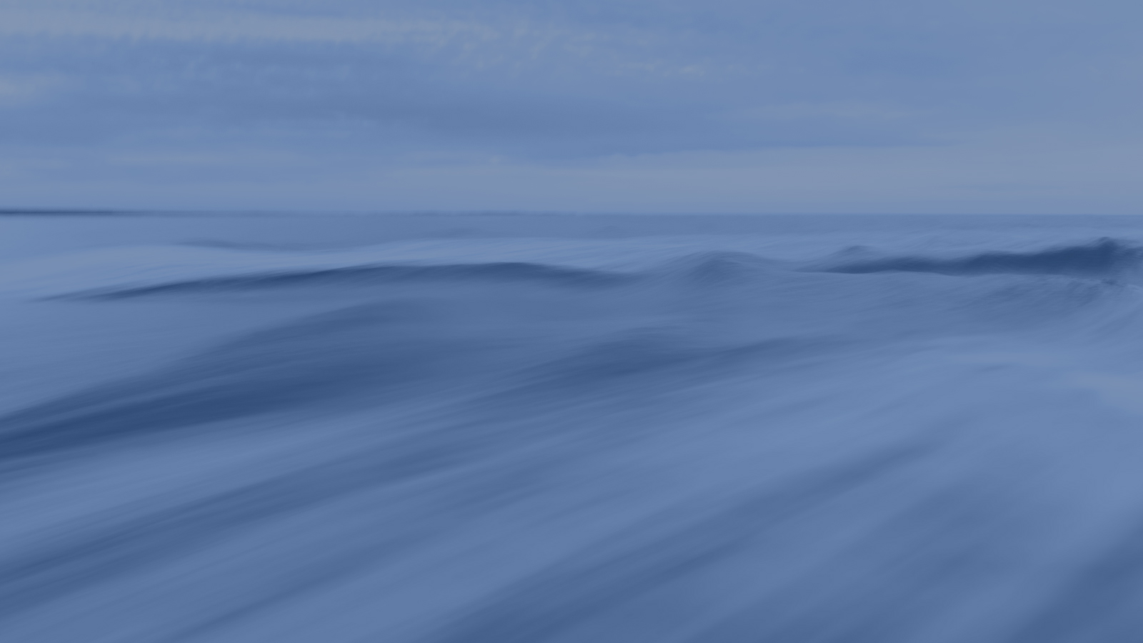 Aktuelles Cura Placida